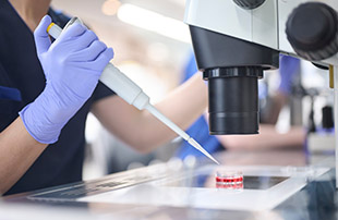 リハビリの様子