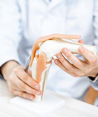 しずおか整形外科イメージ